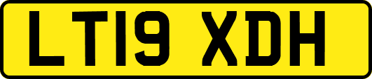 LT19XDH