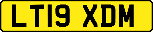 LT19XDM