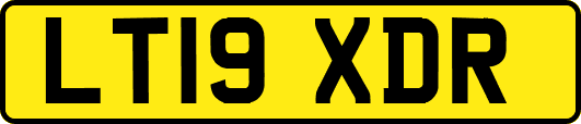 LT19XDR