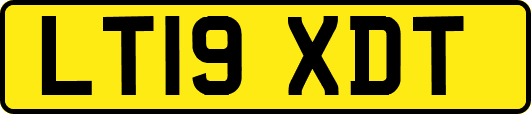 LT19XDT
