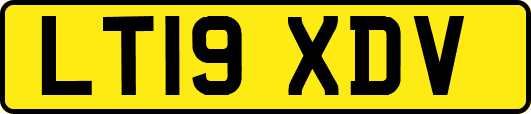 LT19XDV