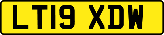 LT19XDW