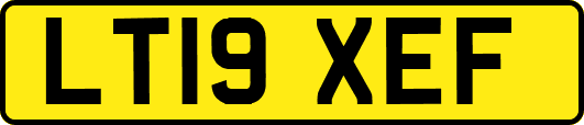LT19XEF