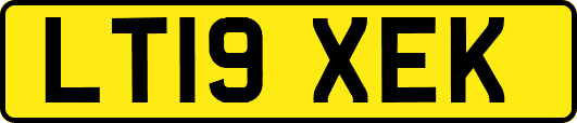 LT19XEK