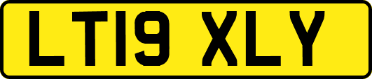 LT19XLY