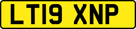 LT19XNP