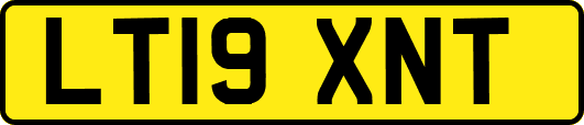 LT19XNT