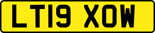 LT19XOW