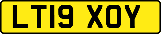 LT19XOY
