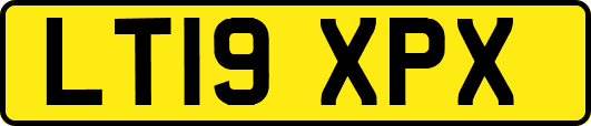 LT19XPX