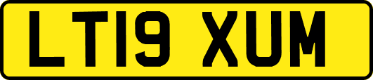 LT19XUM