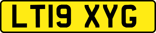 LT19XYG