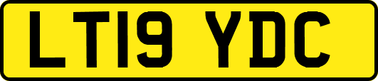 LT19YDC