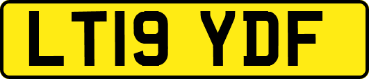 LT19YDF