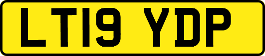 LT19YDP