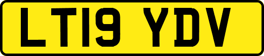 LT19YDV