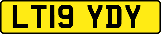 LT19YDY