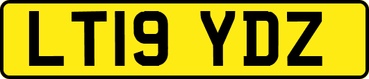 LT19YDZ