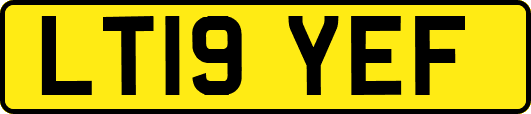 LT19YEF