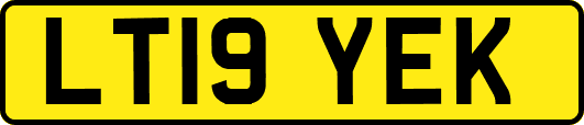 LT19YEK