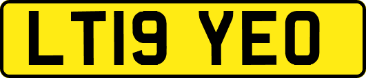 LT19YEO