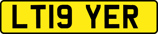 LT19YER