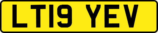 LT19YEV