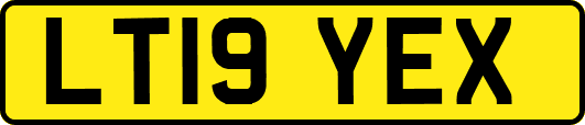 LT19YEX