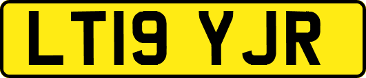 LT19YJR