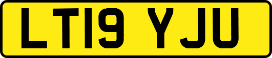 LT19YJU