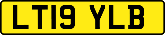 LT19YLB