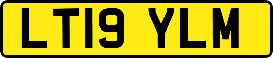 LT19YLM
