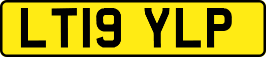 LT19YLP