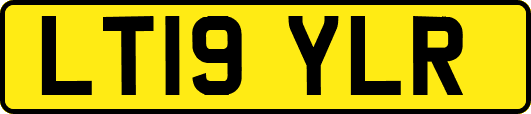 LT19YLR