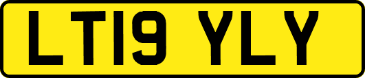 LT19YLY