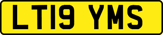 LT19YMS