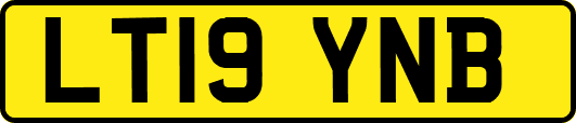 LT19YNB