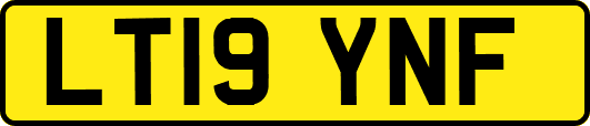 LT19YNF