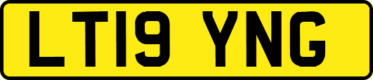LT19YNG