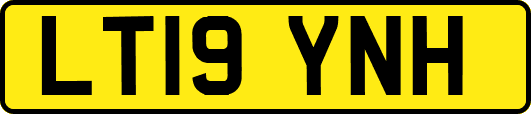LT19YNH