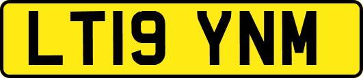 LT19YNM