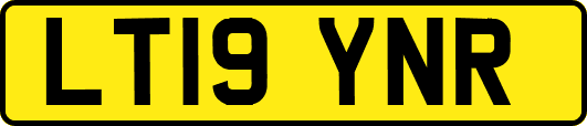 LT19YNR