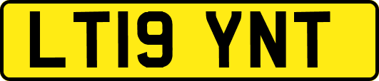 LT19YNT