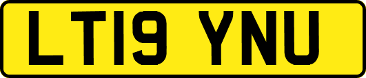 LT19YNU