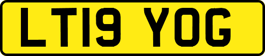 LT19YOG