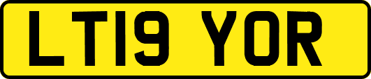 LT19YOR