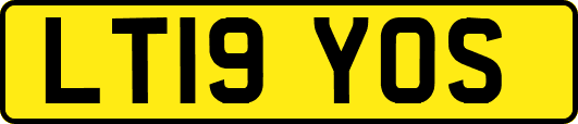 LT19YOS
