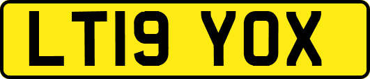 LT19YOX