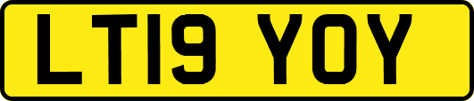 LT19YOY