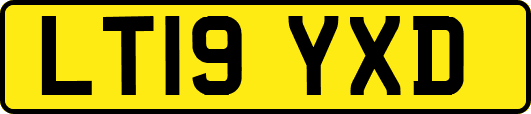 LT19YXD